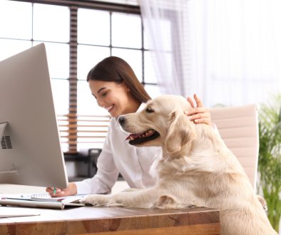 Working with a canine co-worker