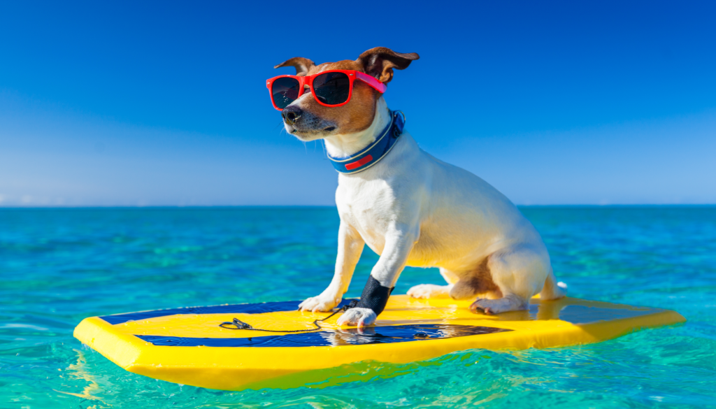1shutterstock_219328033