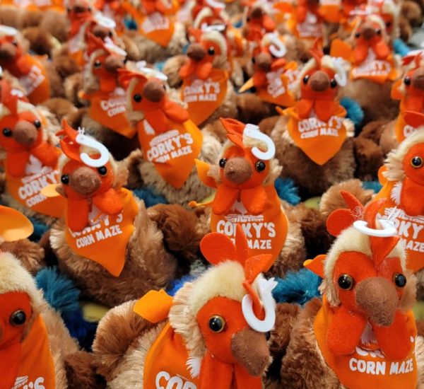 Corky's Corn Maze Chickens