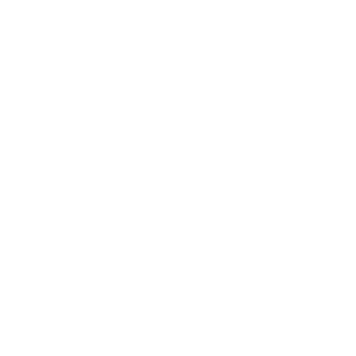 MULTIMEDIA