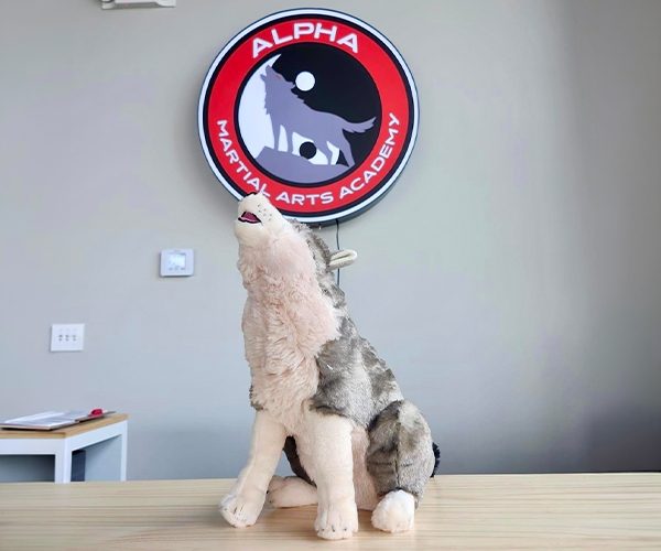 Alpha Martial Arts Academy Sign Alpha Martial Arts Academy Sign